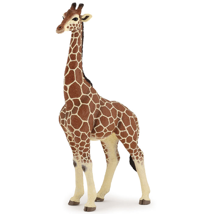papo-giraffe-male-50149