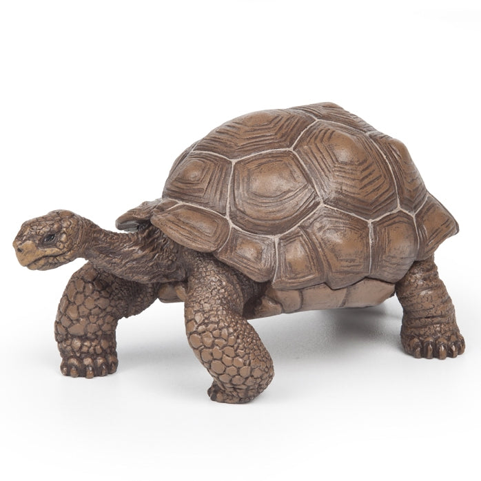 papo-tortoise-galapagos-50161