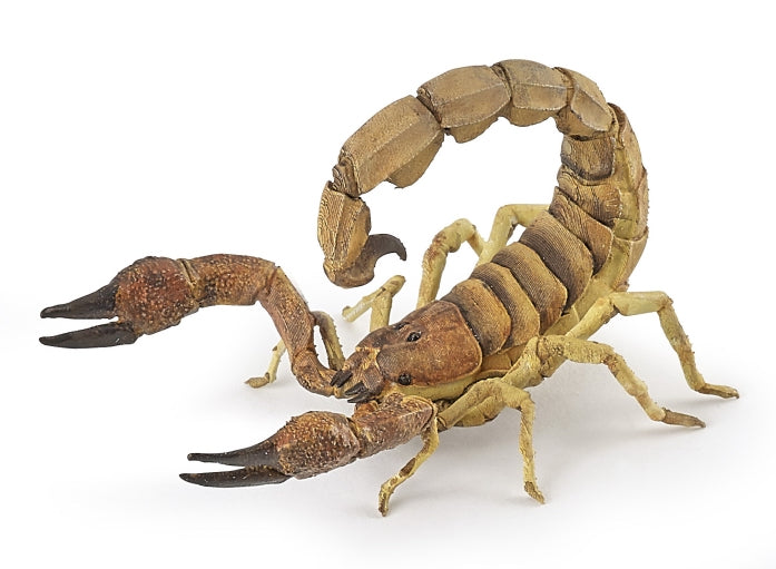 papo-scorpion-50209