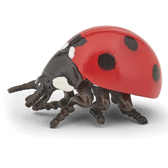 papo-ladybird-50257