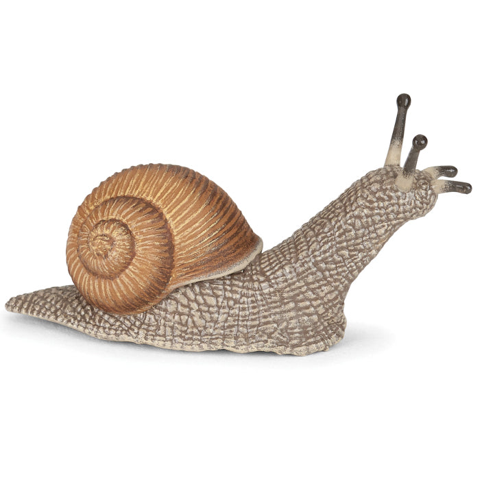 papo-snail-50262