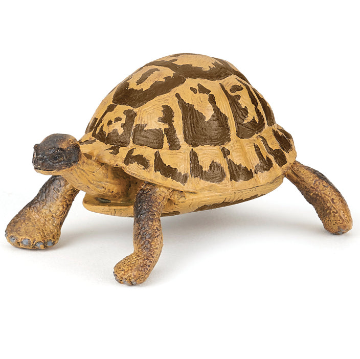 papo-hermanns-tortoise-50264