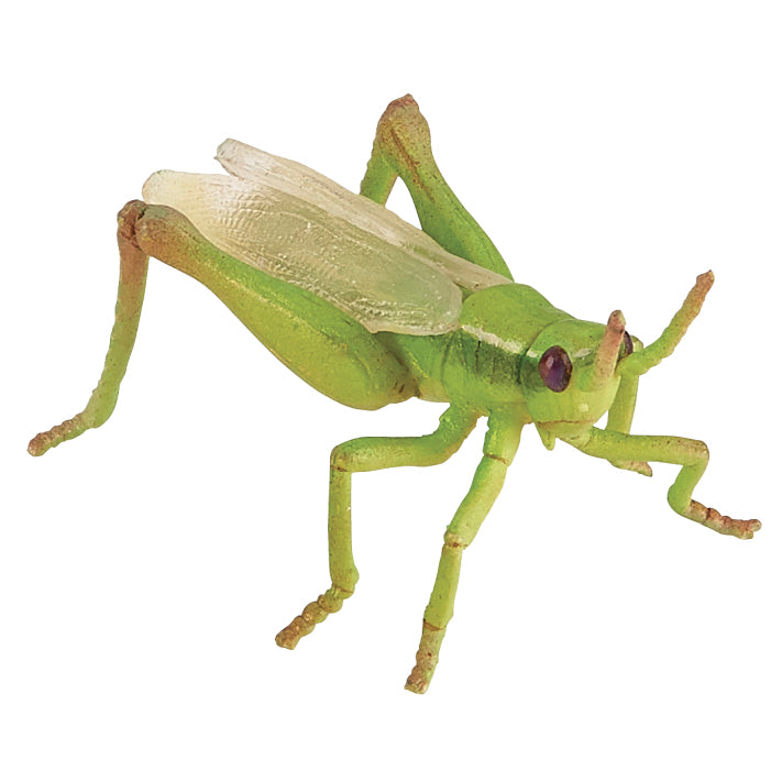 papo-grasshopper-50268