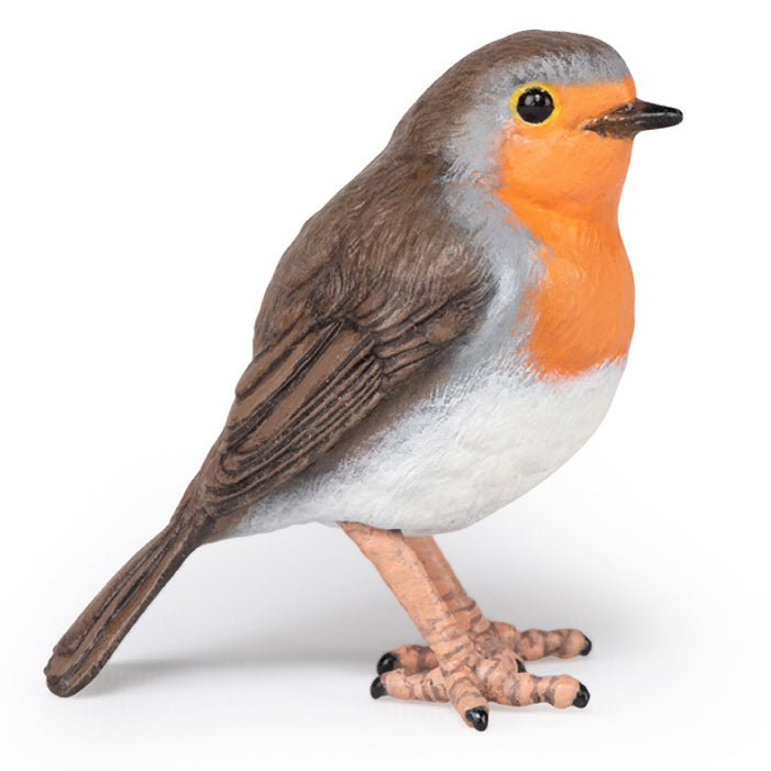 papo-robin-50275