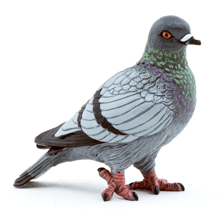papo-pigeon-50295