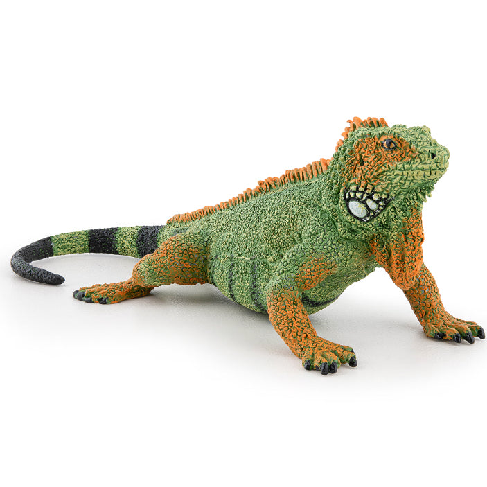 papo-iguana-50306