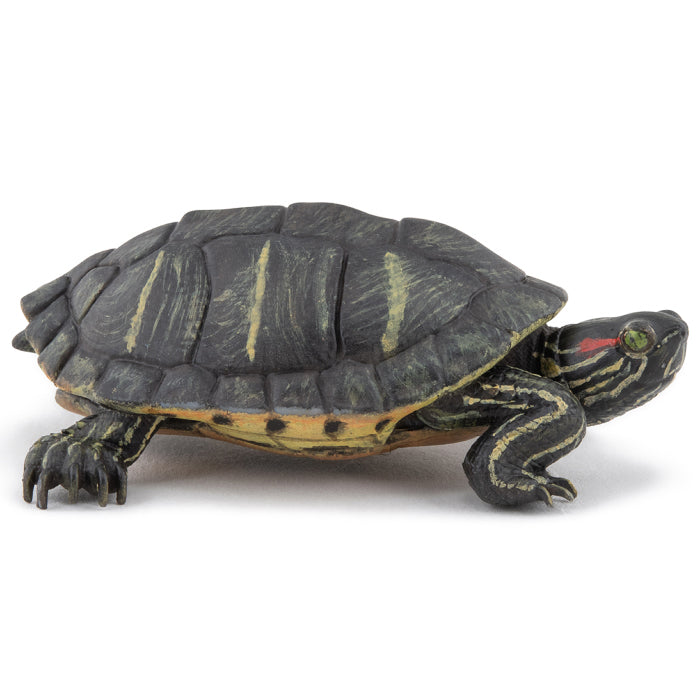 papo-florida-tortoise-50309