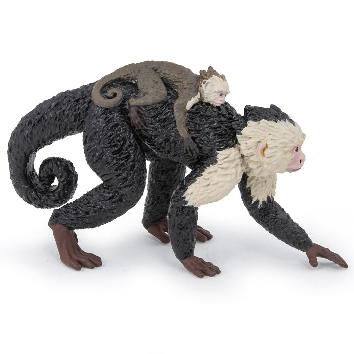 papo-capuchin-50312