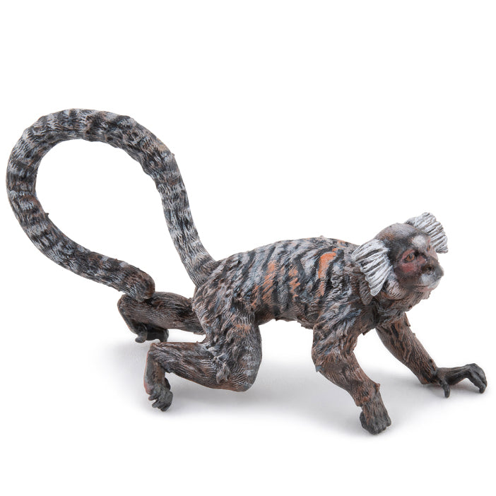 papo-marmoset-50313