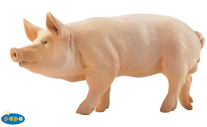 papo-pig-boar-51044