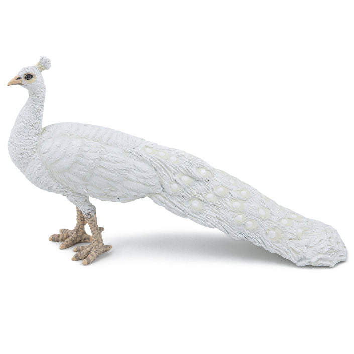 papo-peacock-white-51192