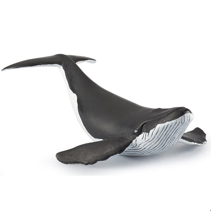 papo-whale-calf-56035