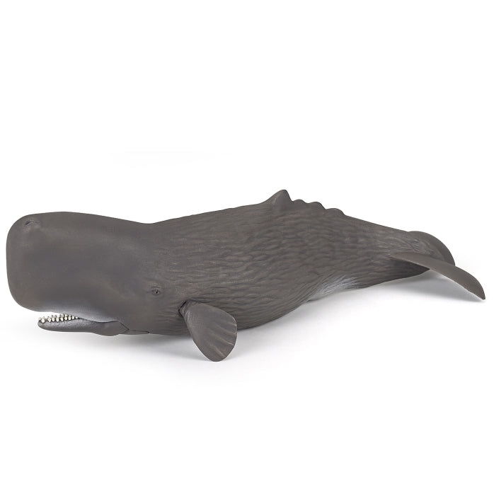 papo-sperm-whale-56036
