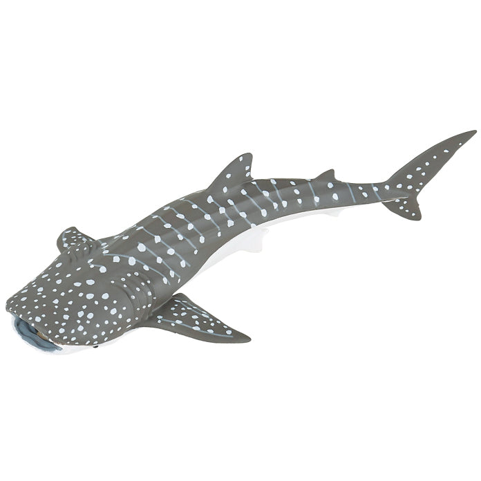 papo-young-whale-shark-56046