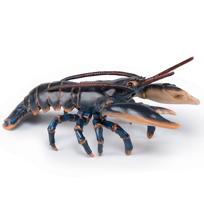 papo-lobster-56052