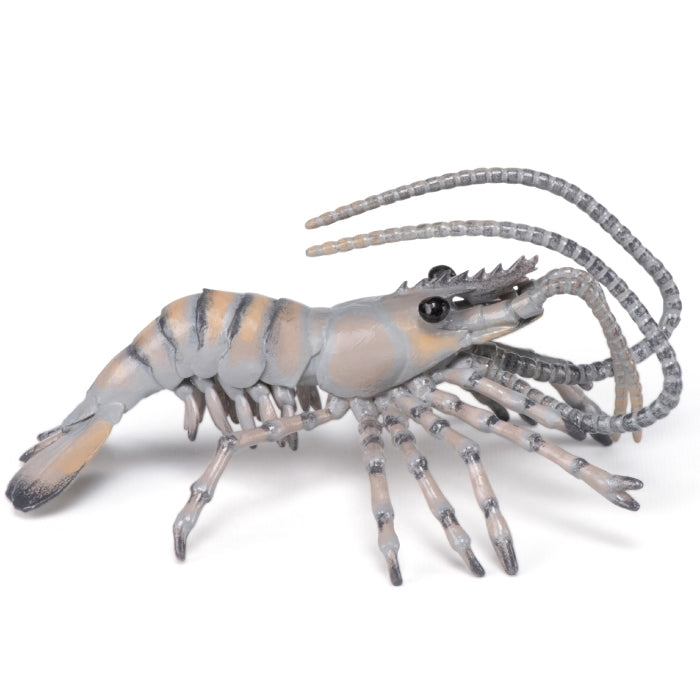 papo-shrimp-56053