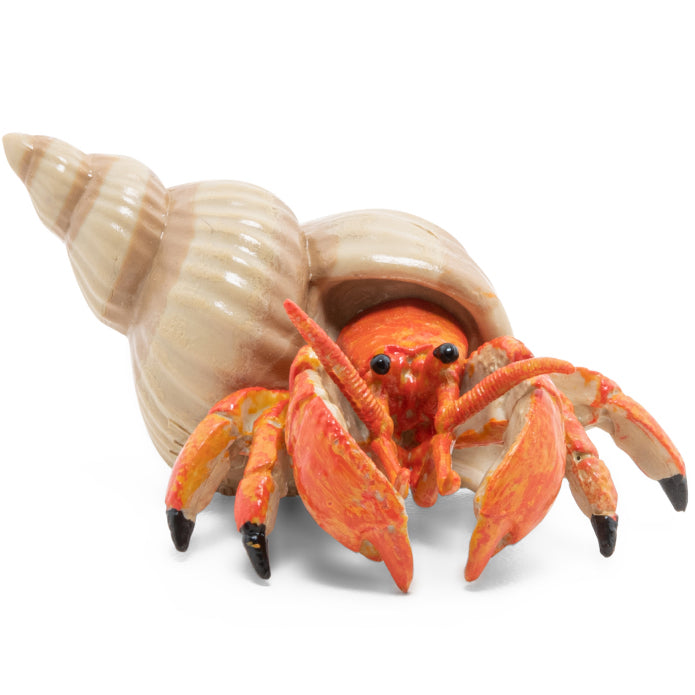 papo-hermit-crab-56054
