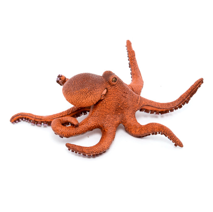 papo-little-octopus-56060