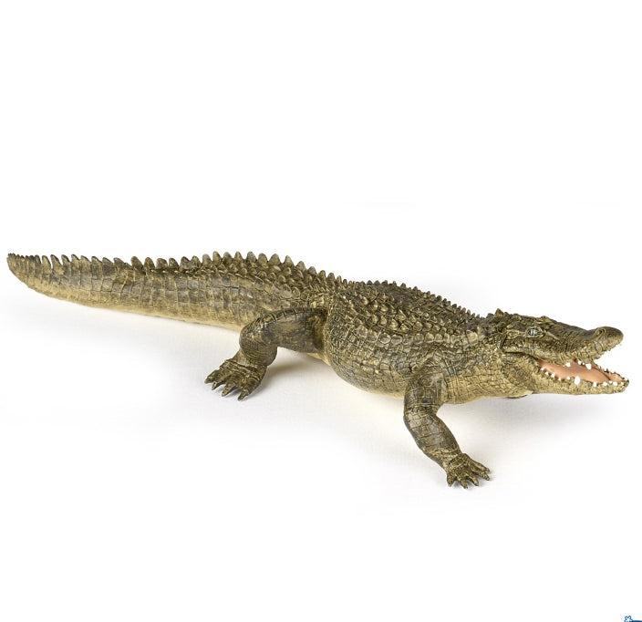 papo-alligator-50254