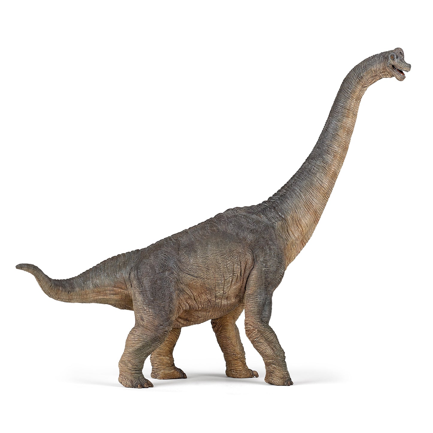 papo-brachiosaurus-dinosaur-55030