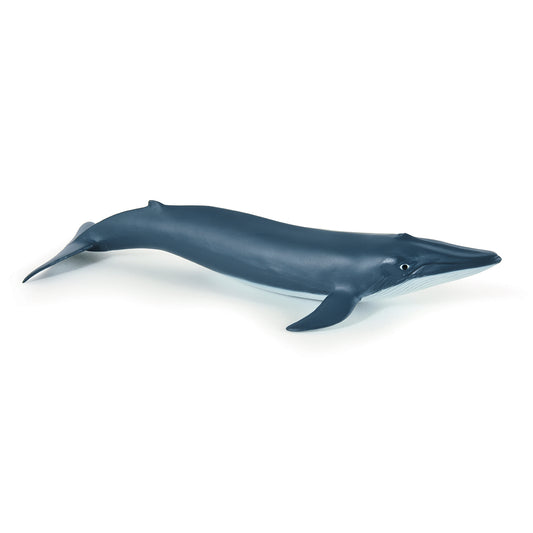 papo-blue-whale-calf-56041