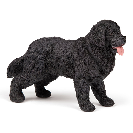 papo-newfoundland-54018